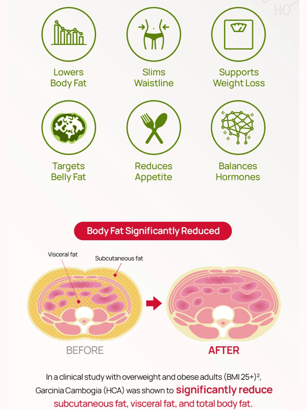 Cutting Jelly 10 Pack